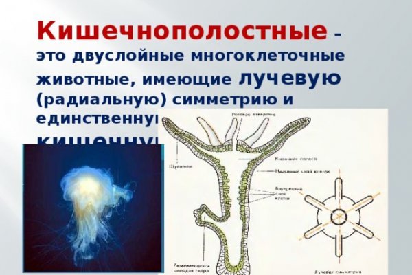 Ссылка на кракен тор магазин